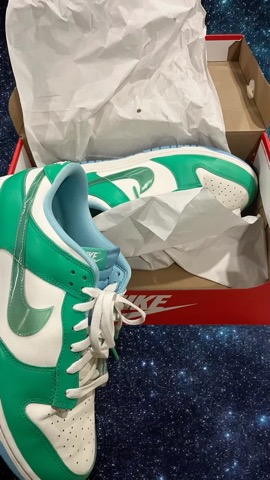 Nike Dunk Low Retro Sneakers - Green & White Edition