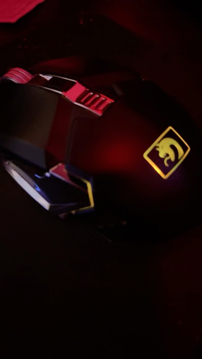 Gaming Mouse with RGB Lighting and Ergonomic Design